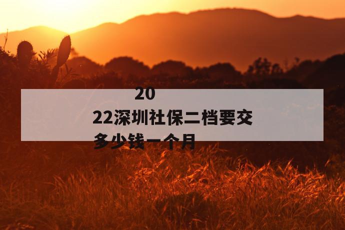 
  2022深圳社保二档要交多少钱一个月
 第1张