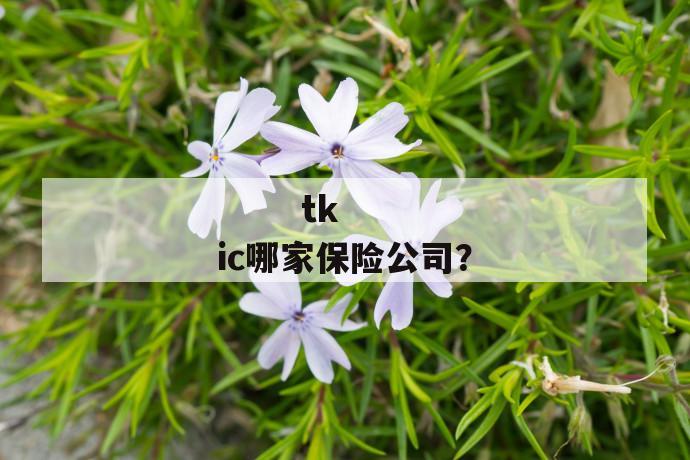 
  tkic哪家保险公司？
 第1张