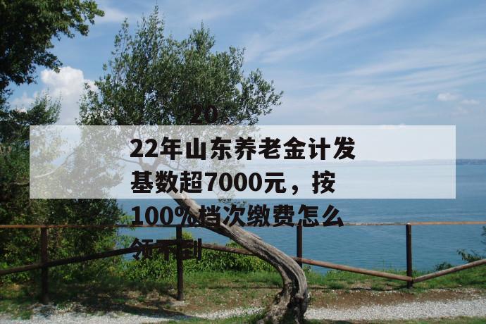 
  2022年山东养老金计发基数超7000元，按100%档次缴费怎么领不到
 第1张