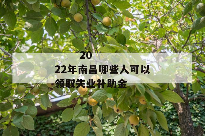 
  2022年南昌哪些人可以领取失业补助金
 第1张