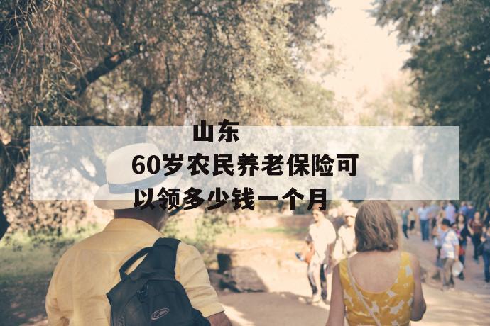 
  山东60岁农民养老保险可以领多少钱一个月
 第1张