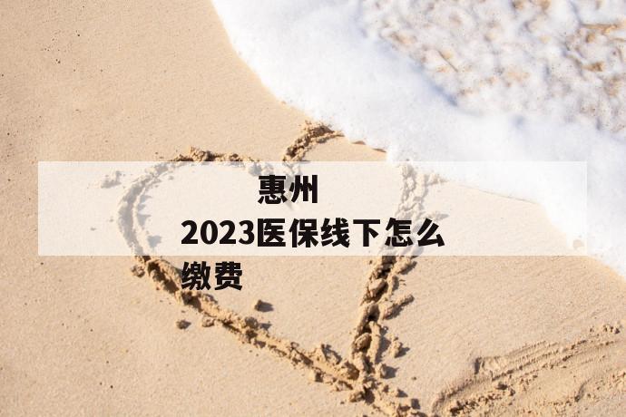 
  惠州2023医保线下怎么缴费
 第1张