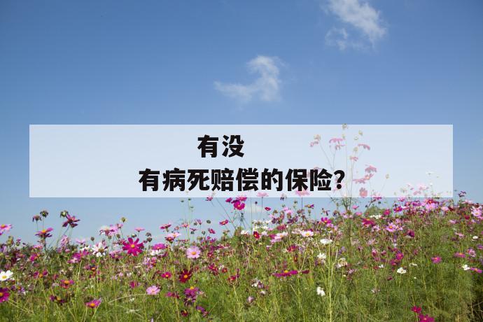 
  有没有病死赔偿的保险？
 第1张