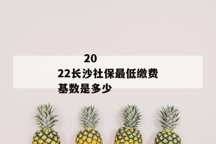 
  2022长沙社保最低缴费基数是多少
 第1张