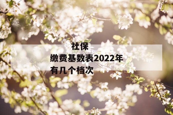 
  社保缴费基数表2022年有几个档次
 第1张