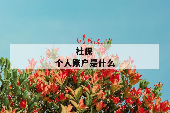 
  社保个人账户是什么
 第1张