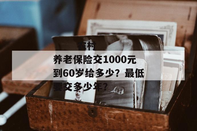 
  农村养老保险交1000元到60岁给多少？最低要交多少年？
 第1张