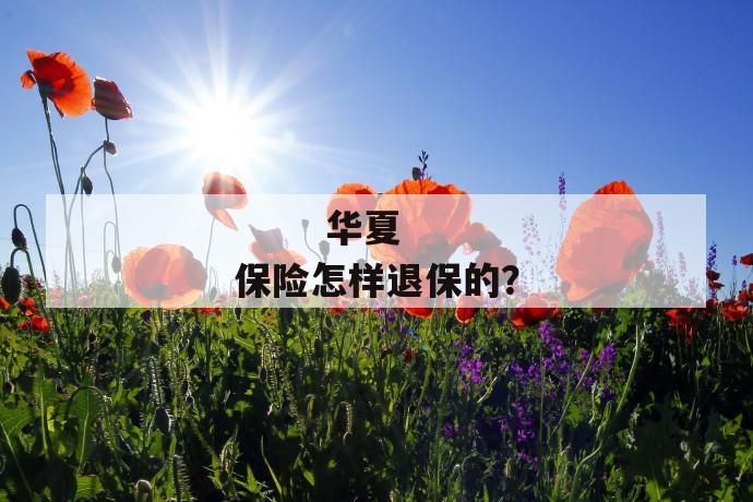 
  华夏保险怎样退保的？
 第2张