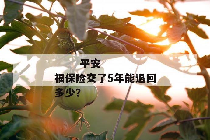 
  平安福保险交了5年能退回多少？
 第1张