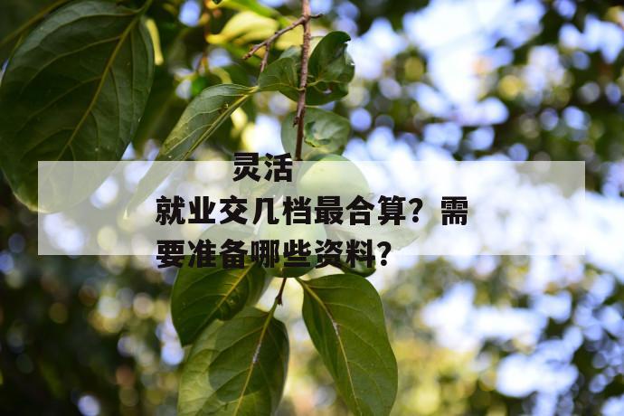 
  灵活就业交几档最合算？需要准备哪些资料？
 第1张