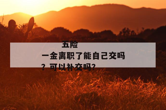 
  五险一金离职了能自己交吗？可以补交吗？
 第1张