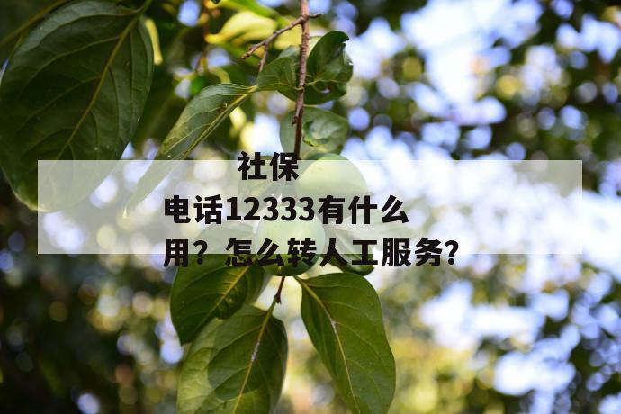 
  社保电话12333有什么用？怎么转人工服务？
 第1张