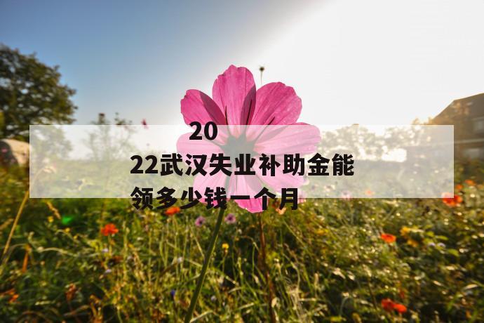 
  2022武汉失业补助金能领多少钱一个月
 第1张