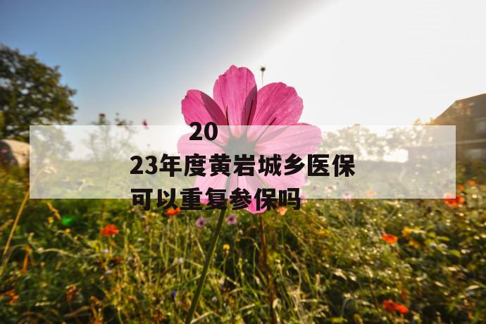 
  2023年度黄岩城乡医保可以重复参保吗
 第1张