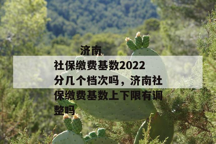 
  济南社保缴费基数2022分几个档次吗，济南社保缴费基数上下限有调整吗
 第1张