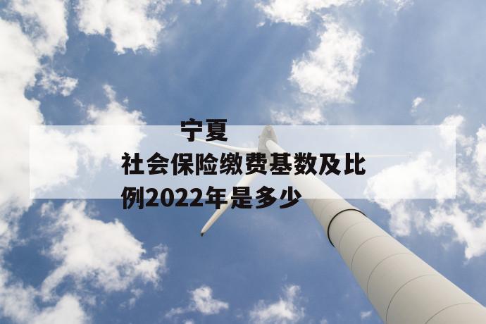 
  宁夏社会保险缴费基数及比例2022年是多少
 第1张