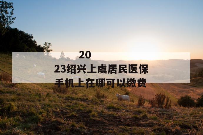 
  2023绍兴上虞居民医保手机上在哪可以缴费
 第1张