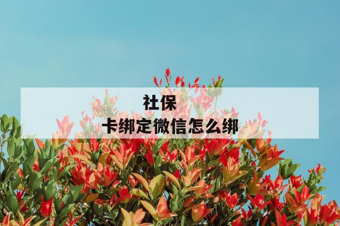 
  社保卡绑定微信怎么绑
 第1张