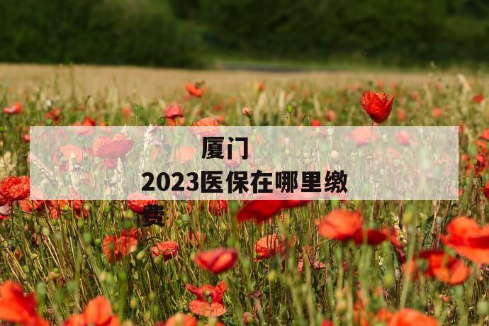 
  厦门2023医保在哪里缴费
 第1张