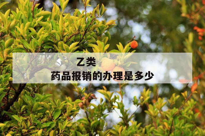 
  乙类药品报销的办理是多少
 第1张