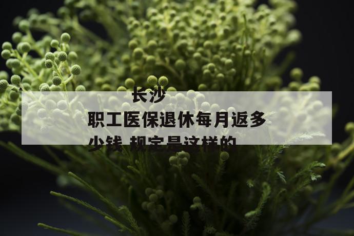 
  长沙职工医保退休每月返多少钱 规定是这样的
 第2张