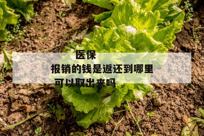 
  医保报销的钱是返还到哪里 可以取出来吗
 第2张