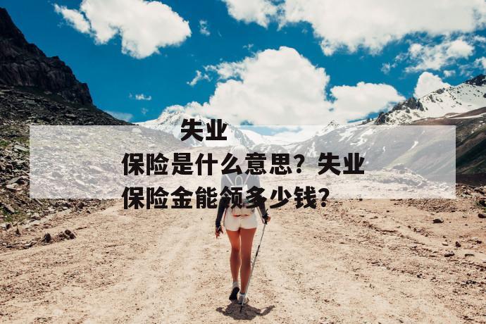 
  失业保险是什么意思？失业保险金能领多少钱？
 第1张