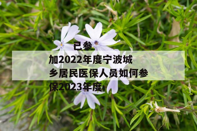 
  已参加2022年度宁波城乡居民医保人员如何参保2023年度
 第1张