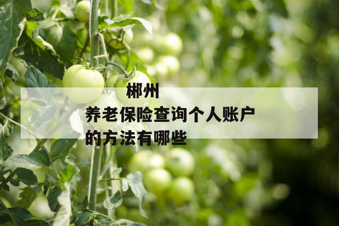 
  郴州养老保险查询个人账户的方法有哪些
 第1张