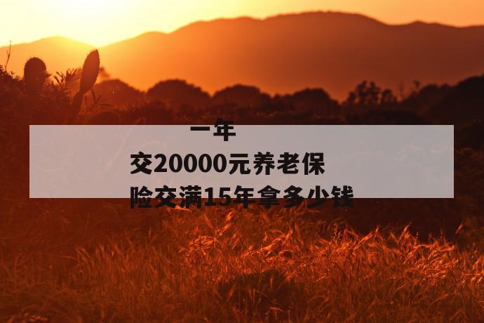 
  一年交20000元养老保险交满15年拿多少钱
 第1张