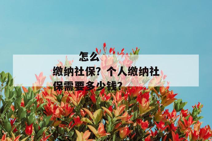 
  怎么缴纳社保？个人缴纳社保需要多少钱？
 第1张