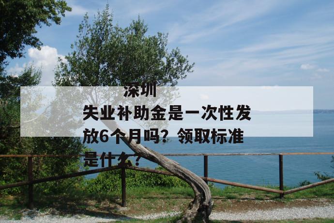 
  深圳失业补助金是一次性发放6个月吗？领取标准是什么？
 第1张