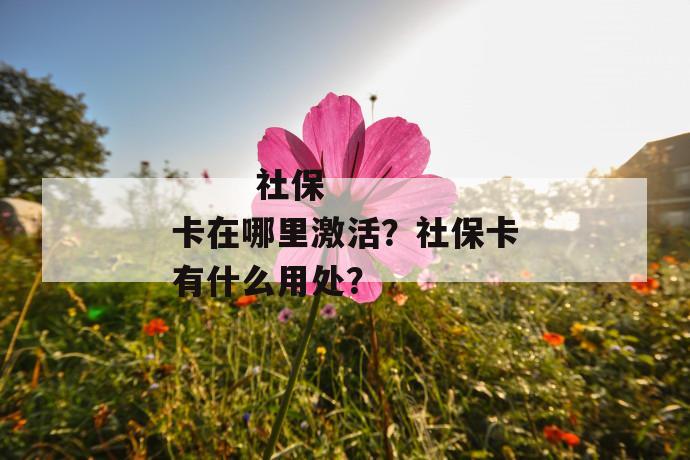 
  社保卡在哪里激活？社保卡有什么用处？
 第1张