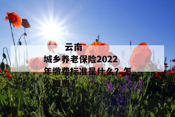 
  云南城乡养老保险2022年缴费标准是什么？怎么缴费？
 第1张