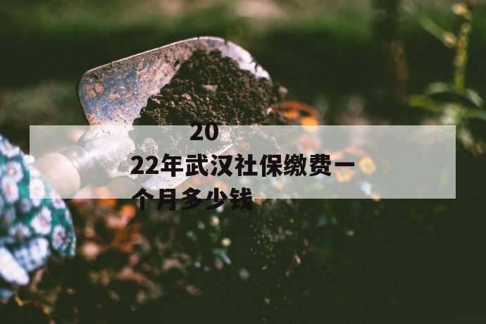 
  2022年武汉社保缴费一个月多少钱
 第1张