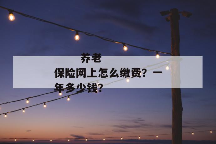 
  养老保险网上怎么缴费？一年多少钱？
 第1张