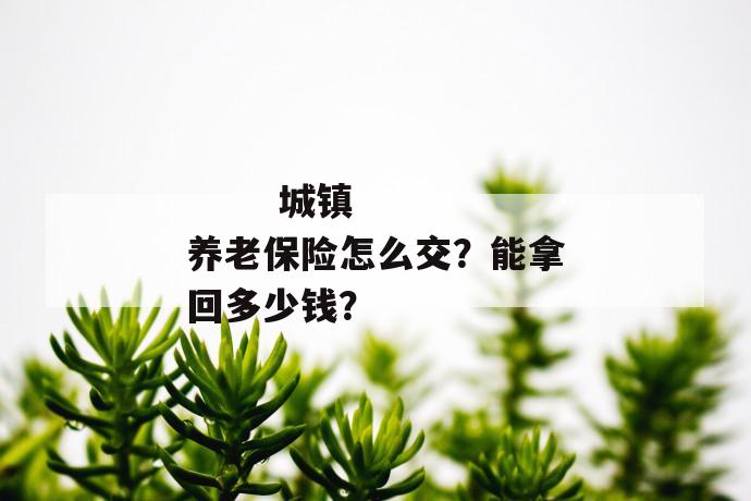 
  城镇养老保险怎么交？能拿回多少钱？
 第1张