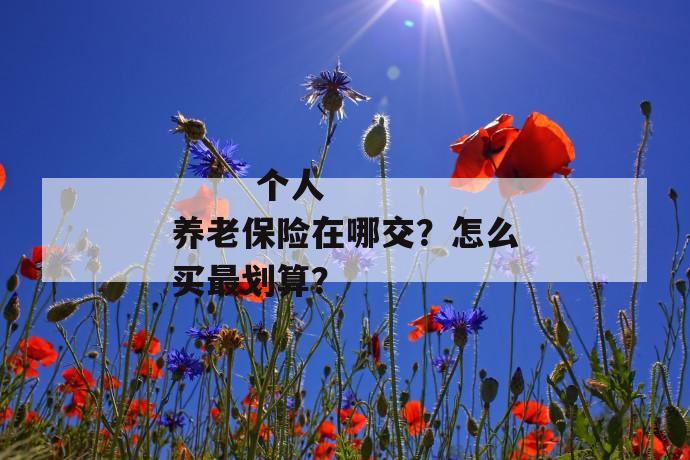 
  个人养老保险在哪交？怎么买最划算？
 第1张