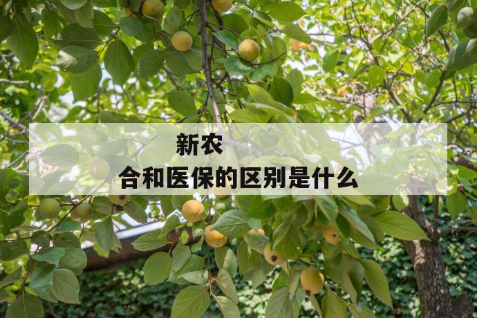 
  新农合和医保的区别是什么
 第1张