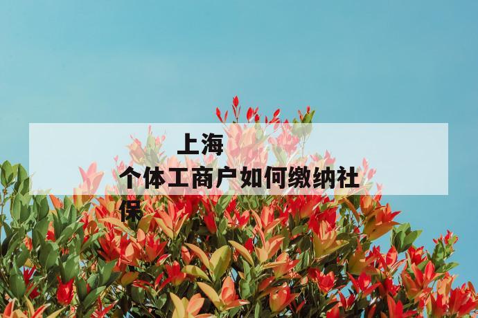 
  上海个体工商户如何缴纳社保
 第1张