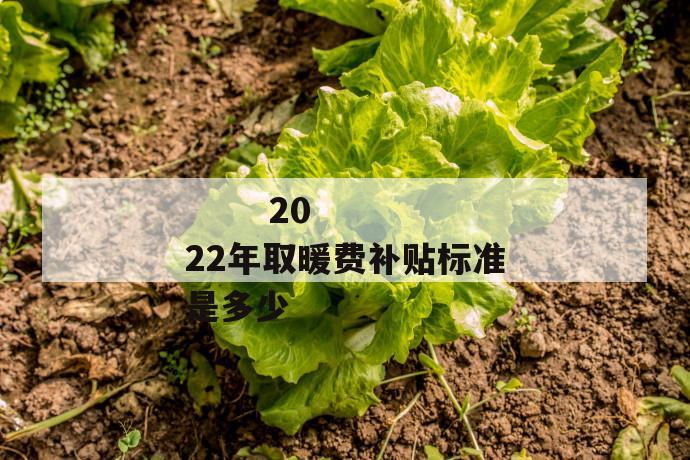 
  2022年取暖费补贴标准是多少
 第1张