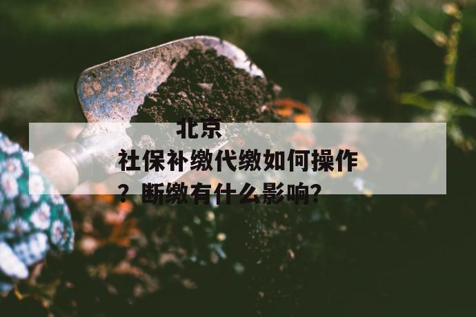 
  北京社保补缴代缴如何操作？断缴有什么影响？
 第1张