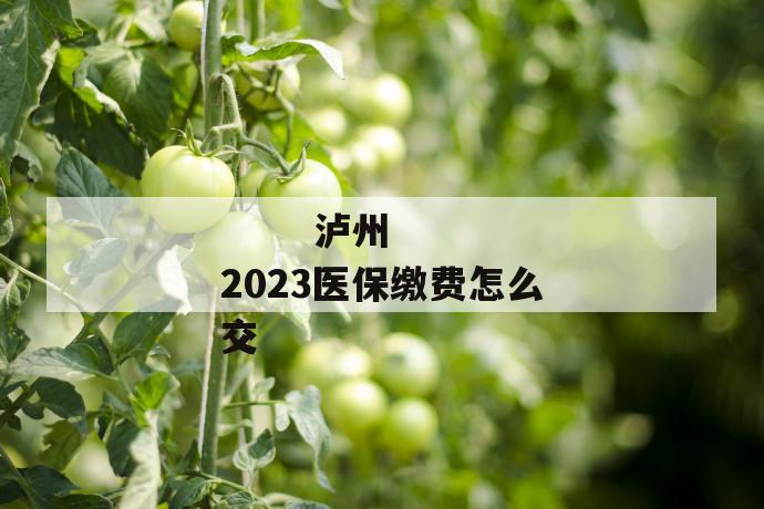 
  泸州2023医保缴费怎么交
 第1张