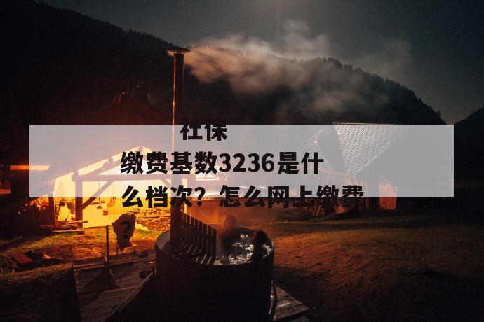 
  社保缴费基数3236是什么档次？怎么网上缴费？
 第1张