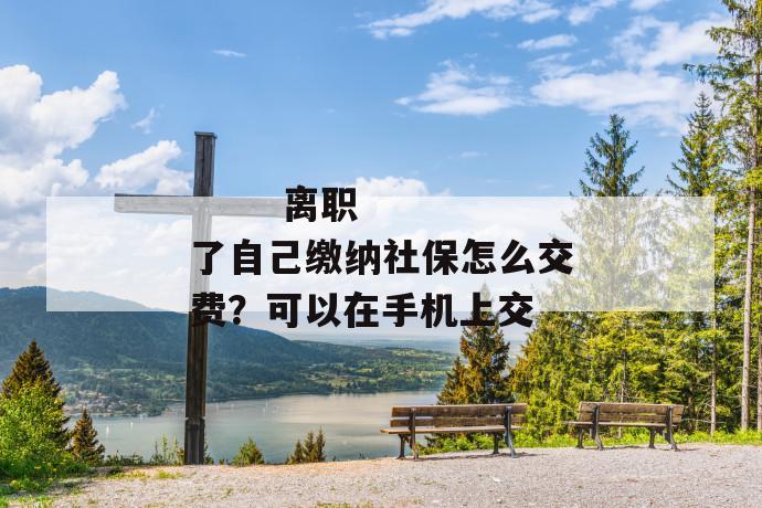 
  离职了自己缴纳社保怎么交费？可以在手机上交
 第1张