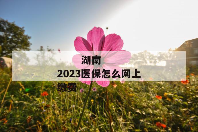 
  湖南2023医保怎么网上缴费
 第1张