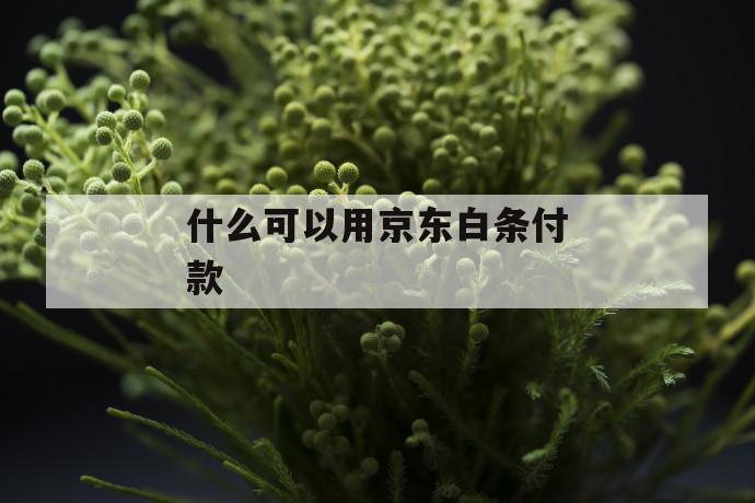 什么可以用京东白条付款 第1张