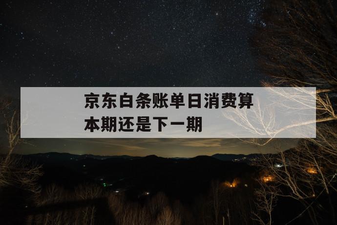 京东白条账单日消费算本期还是下一期 第1张