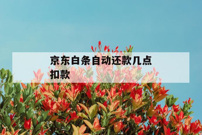 京东白条自动还款几点扣款 第1张