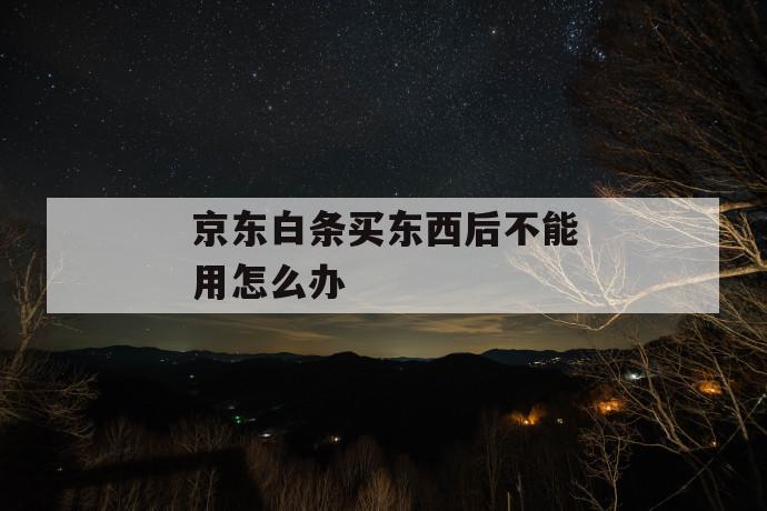 京东白条买东西后不能用怎么办 第1张